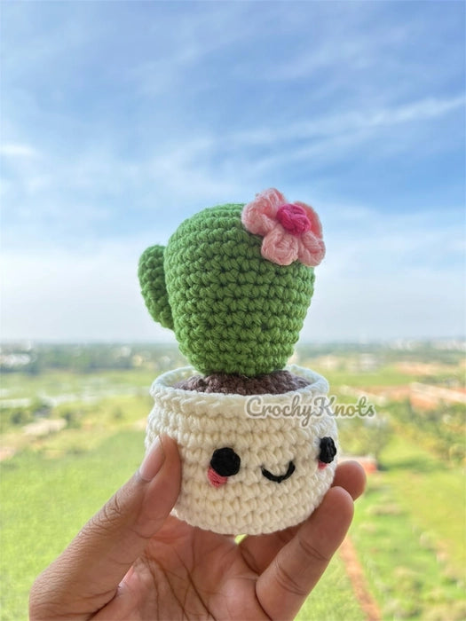 Happy Little Succulent Pot