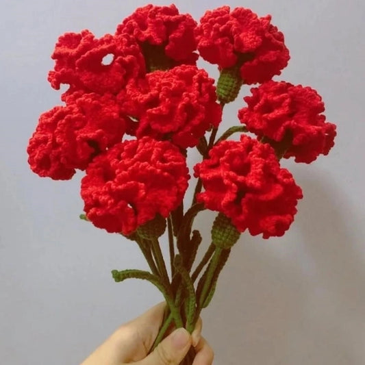 Crochet Carnations