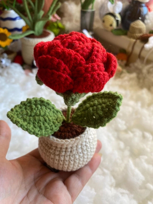 Crochet Rose/ Succulent Pot