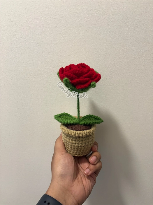 Forever Rose Pot