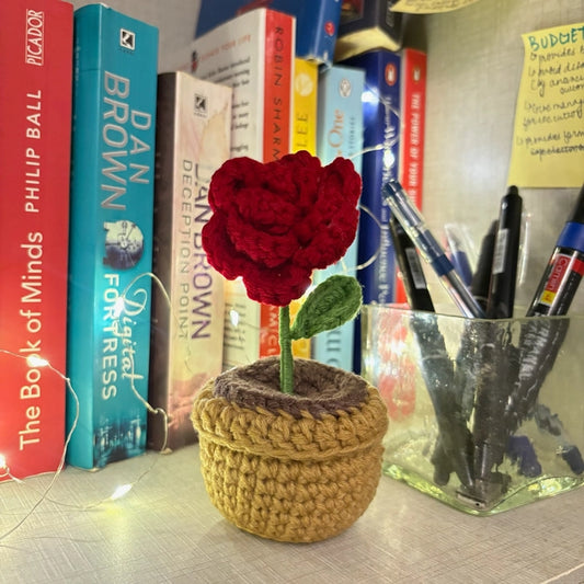Pot of Happiness | Crochet Little Flower Pots