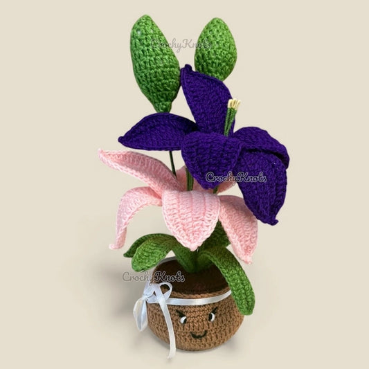 Lilac lily smiles pot