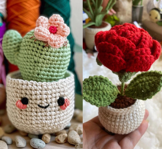 Crochet Rose/ Succulent Pot