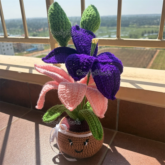 Lilac lily smiles pot