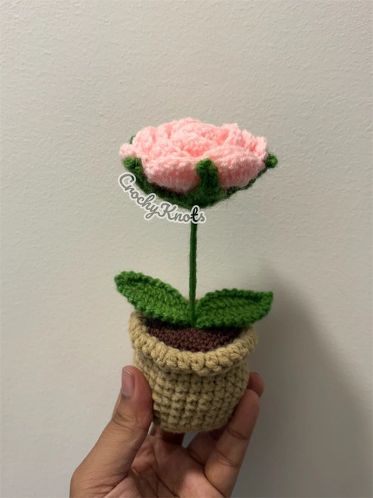 Forever Rose Pot