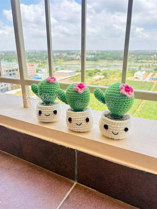 Happy Little Succulent Pot