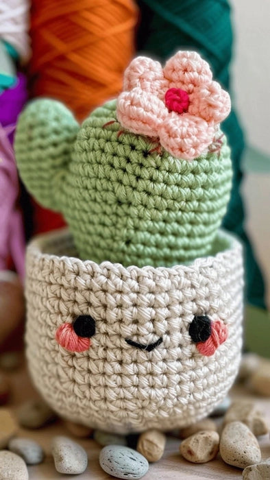 Crochet Rose/ Succulent Pot