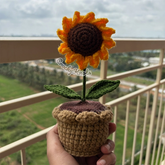 Sunny Potted Bloom | Sunflower Pot