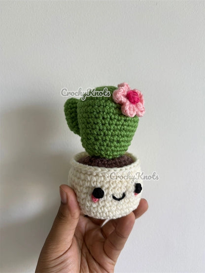 Happy Little Succulent Pot
