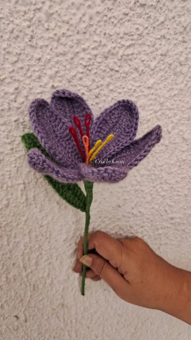 Crochet Saffron Flower