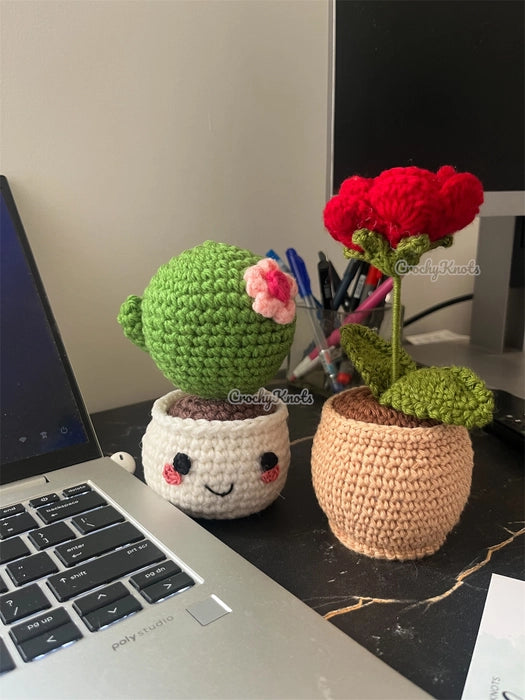 Forever Bloom Buddies Combo | Rose Pot & Succulent Pot Combo | Desk Decor | Plants