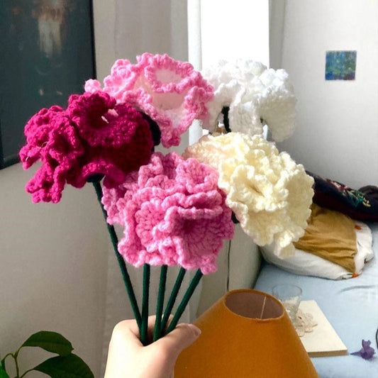 Crochet Carnations